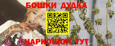 шишки Краснознаменск