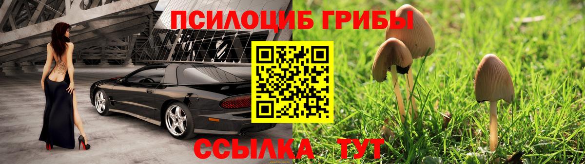 Галлюциногенные грибы Magic Shrooms  Вход с VPN  Юрга  Галлюциногенные грибы Psilocybe 